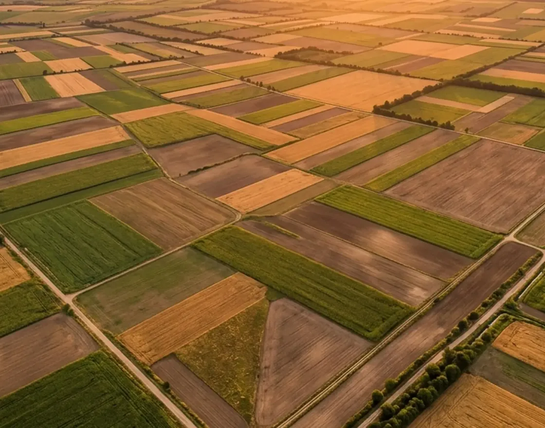 Vista aérea de campos agrícolas divididos en predios rectangulares al atardecer, en la zona centro sur de Chile.